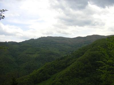 20070523231543-imgp0137.jpg
