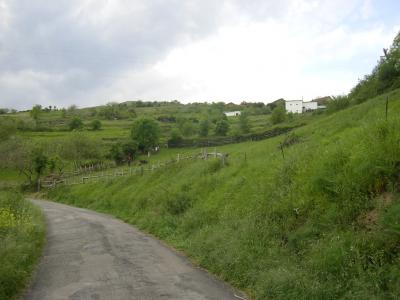 20070630095443-imgp0138.jpg