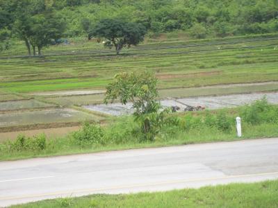 20080115110520-tailandia-tren-de-cuayt-143.jpg