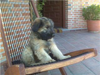 20080328234814-noa.jpg