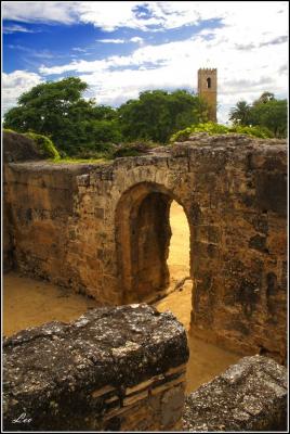 20080630133156-castillo-03-.jpg