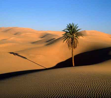 20080730090154-sahara.jpg