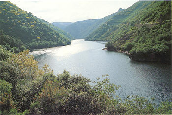20080929224544-rio-sil-2.jpg