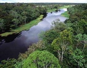20081010192853-amazonas2.jpg