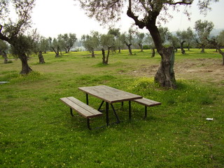 20081117112447-amerendero17novhmn.jpg