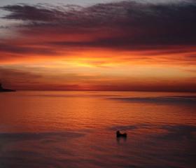 20081213082845-horizonte.jpg