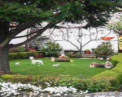 20081223080522-jardin.jpg