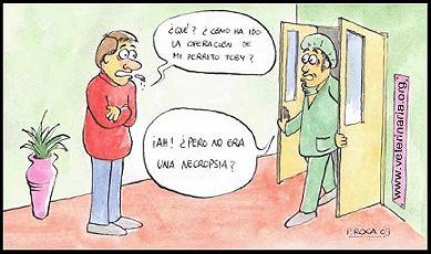 20081229164311-perro.jpg