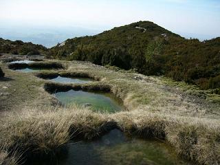 20081231073722-pozosdefondarres.jpg