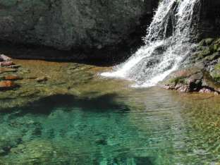 20090108010916-charca1.jpg