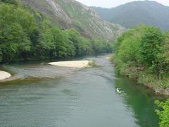 20090108075255-sella.jpg