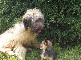 20090121104025-noa.jpg
