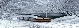 20090206230458-trenes.jpg