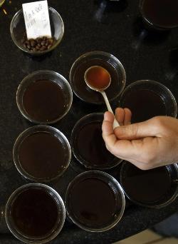 20090706183338-07.07.2009-cafeina.jpg