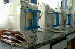 20090715090639-15.07.2009-sangre.jpg