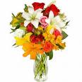 20090823075708-23.08.2009flores.jpg