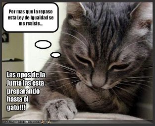 20090825130543-25.06.2009-gato-opositor-3.jpg