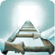 20091002084805-17.08.2009-desarrollo.gif