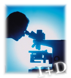 20091117055002-17.11.2009-investigacion.jpg