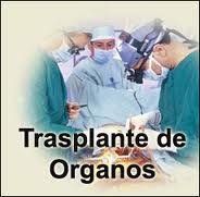 20120111070526-11-01-2012-transplantes.jpg
