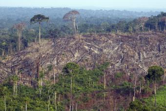 20120405060117-03.07.2011-deforestacion-amazonas.jpg